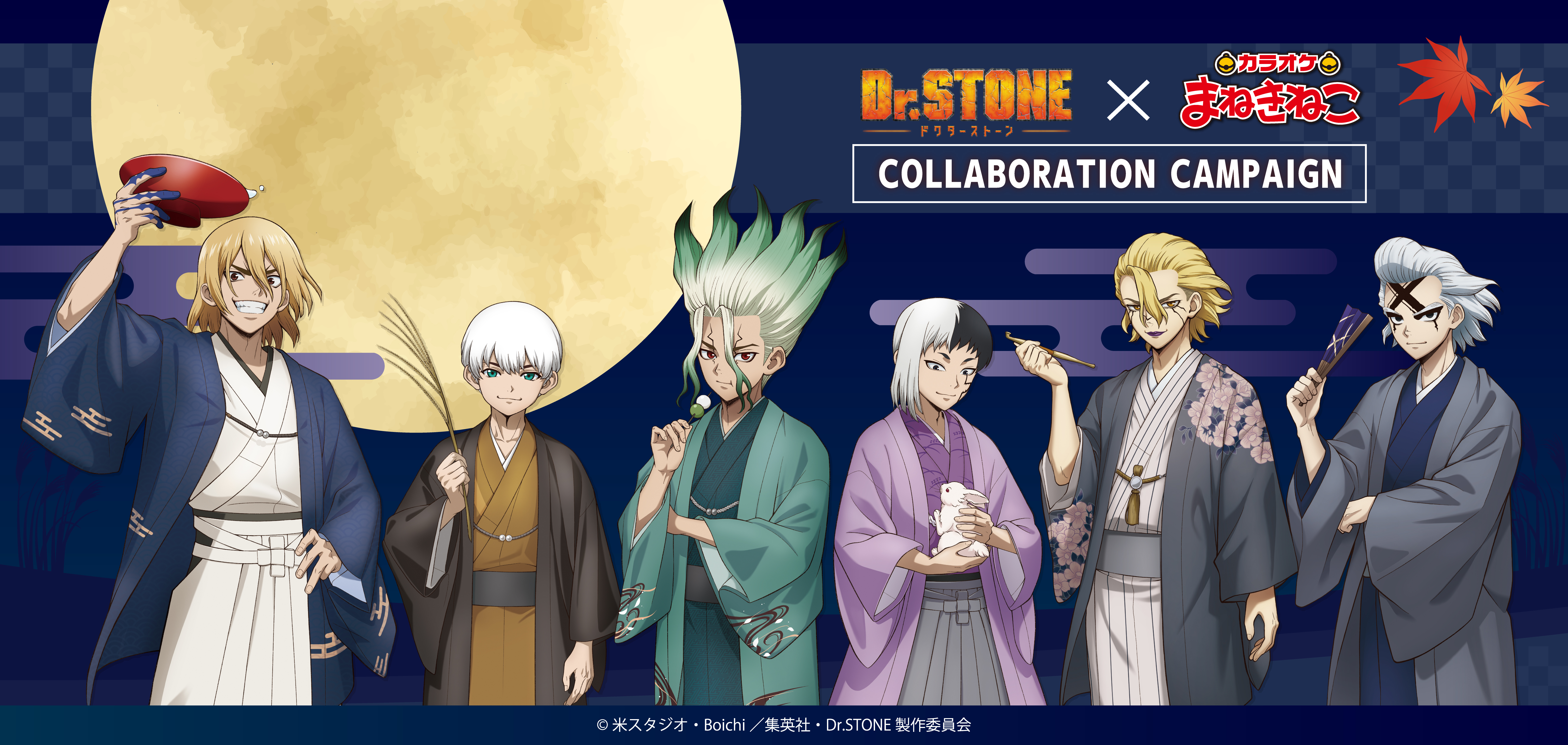 Dr.STONE