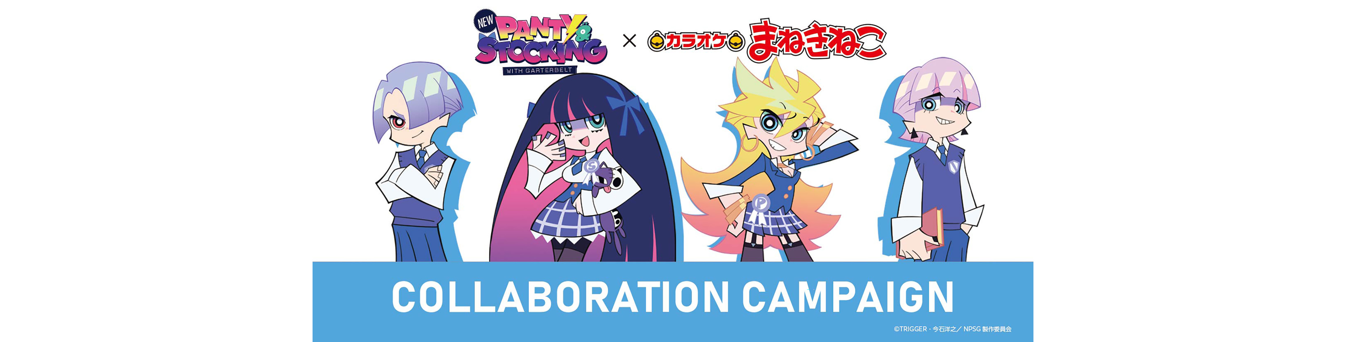 New PANTY & STOCKING with GARTERBELT
