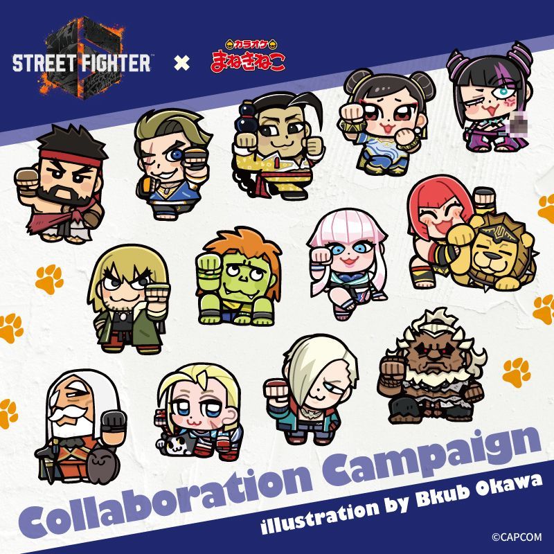 c78_ttl_streetfighter_sp.jpg